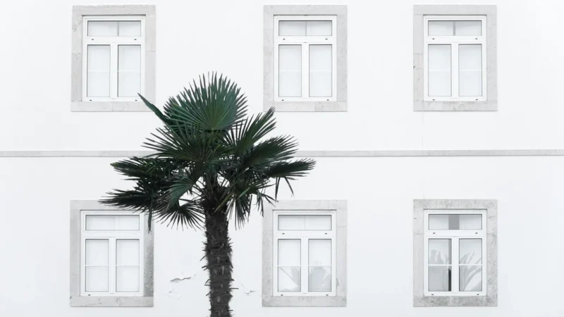 Galeria Ram Lustro 100×100 (LUS10WYM)