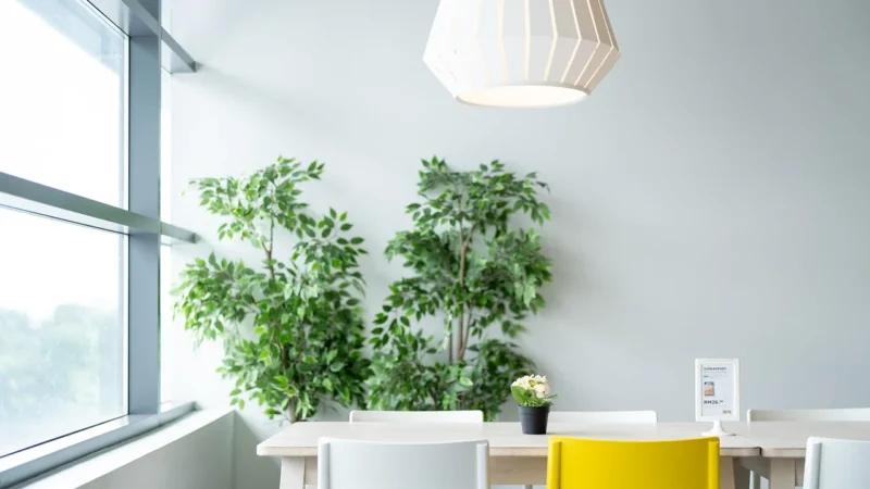 Ikea Vesteröy Materac Sprężyny Kieszeniowe 00450601